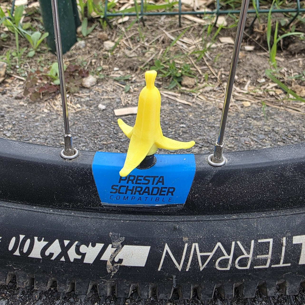 Bouchon de valve vélo Banane — Presta & Schrader